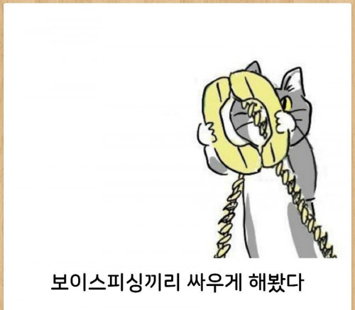 보이스피싱 처리 좋았쓰