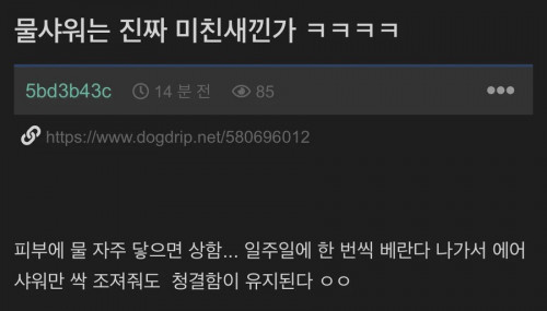 물샤워 하는 새끼들은 진짜 ㅁㅊㄴ들임