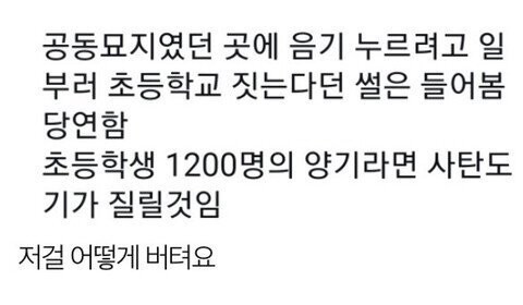 공동묘지터에 초등학교를 짓는 이유