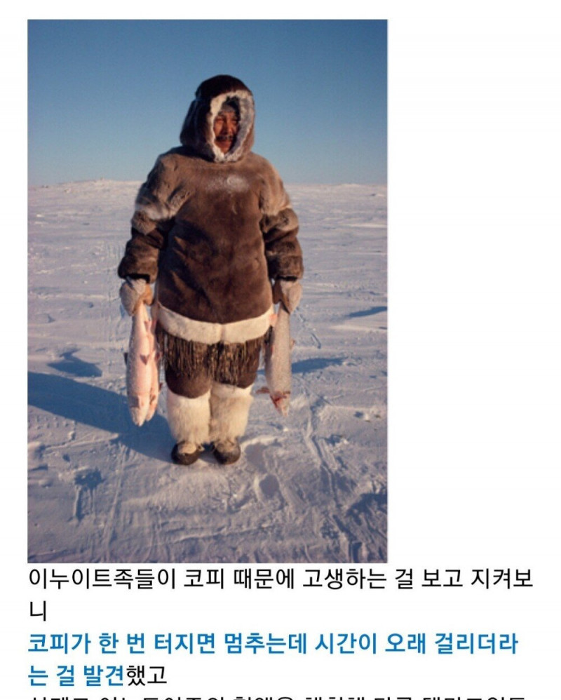 사람이 피가 깨끗 하면 안되는 이유