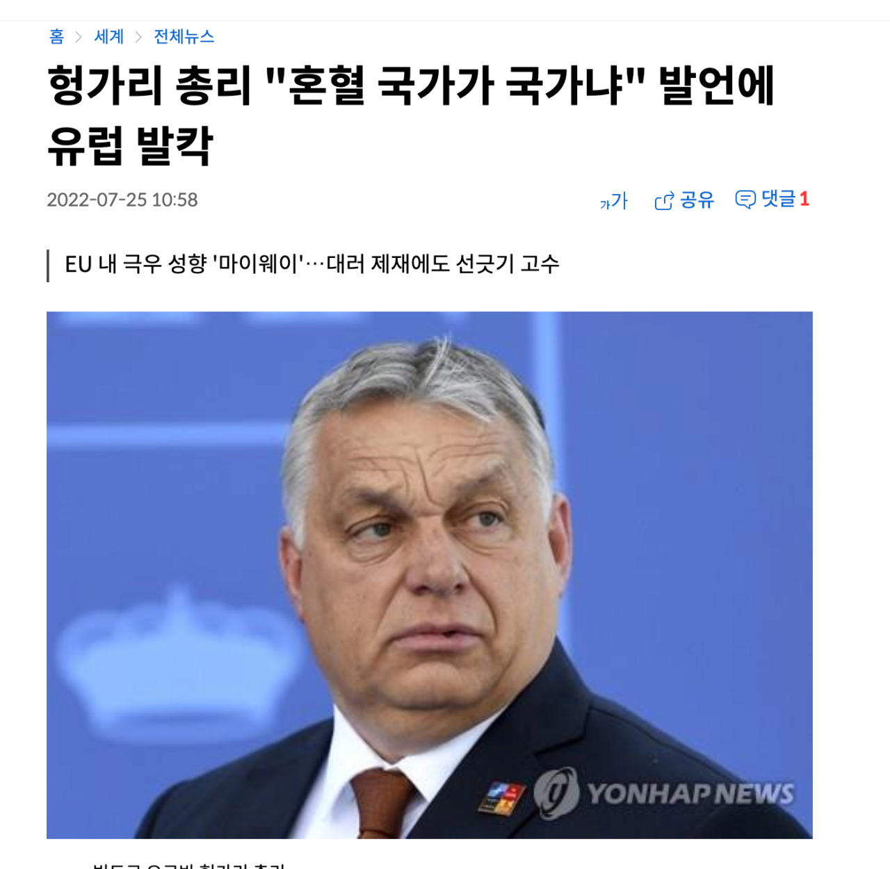 헝가리가 옳은 나라 어쩌고 저쩌고 저격