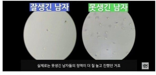 못생긴 남자의 정액이 더 우수하다