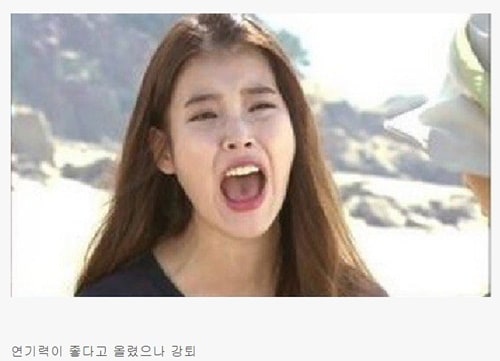 아이유 팬카페 강퇴 짤