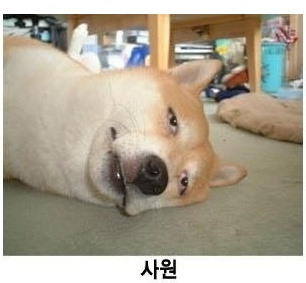 개표정으로본 회사
