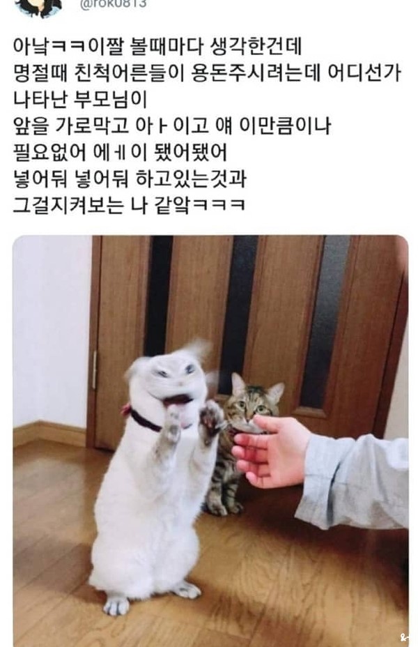 아이고 얘 이만큼이나 필요 없어 넣어둬