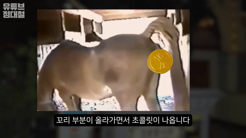 롯데월드에서 찐 고인물만 봤다는 '이것'