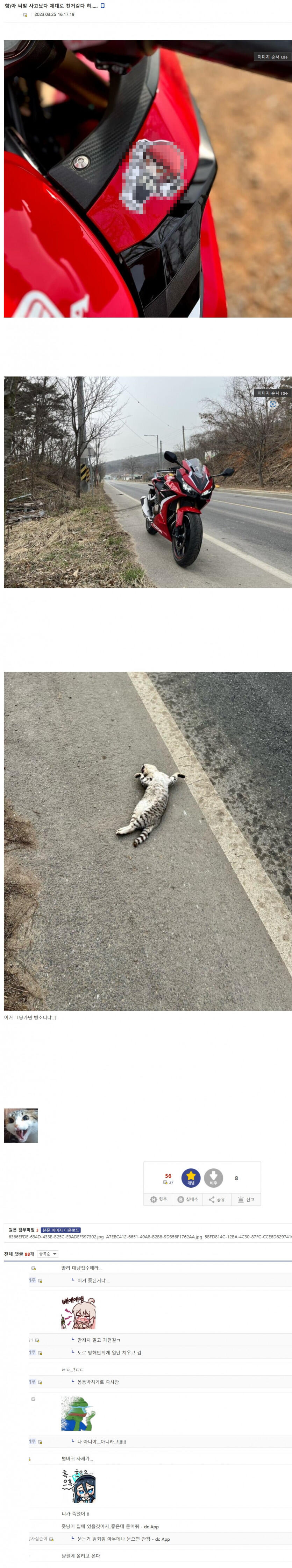 사망사고 친 바이크 갤러리