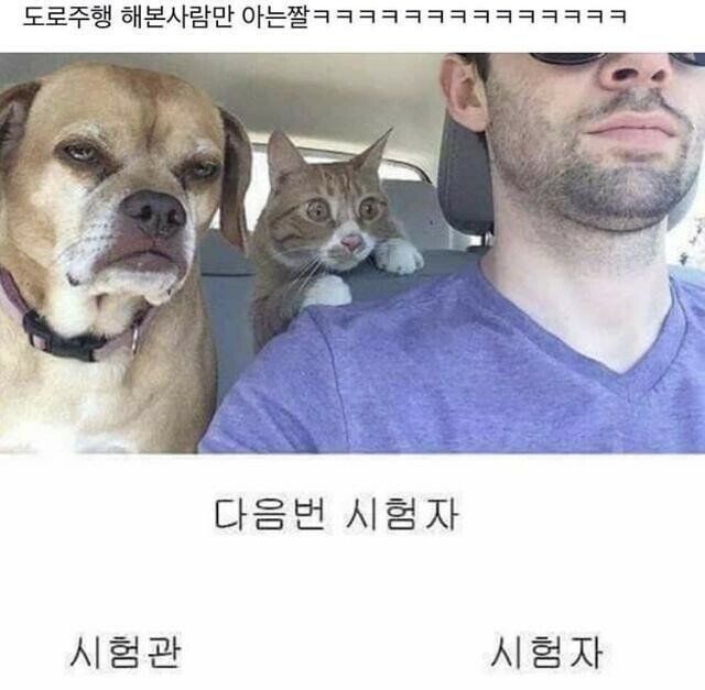 도로주행 시험중 한컷