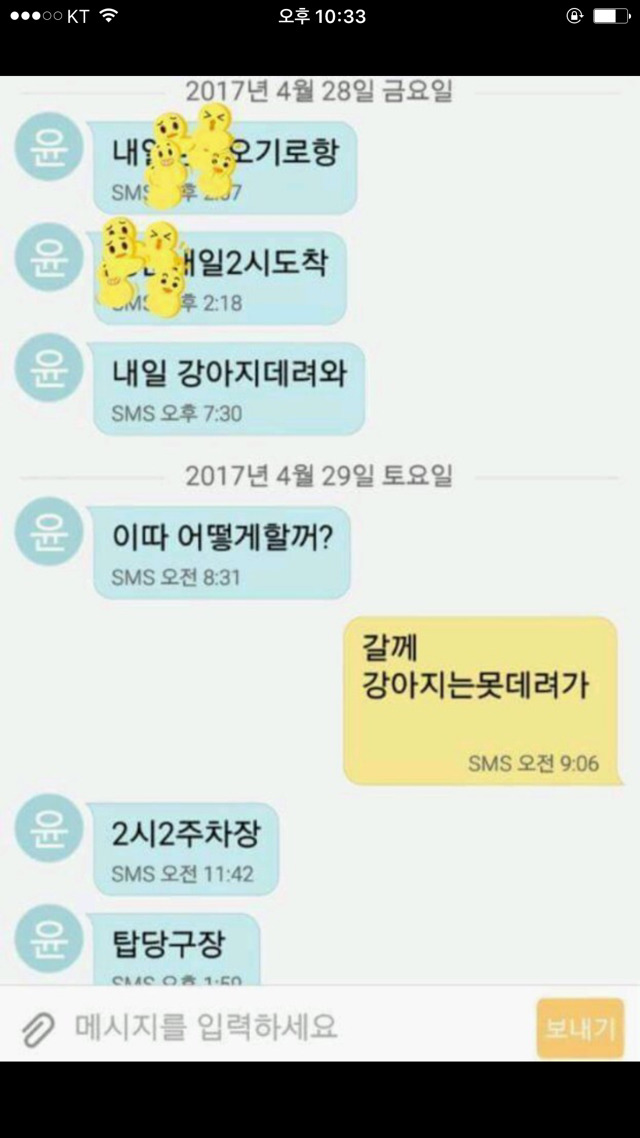 강아지 사진보내 제발