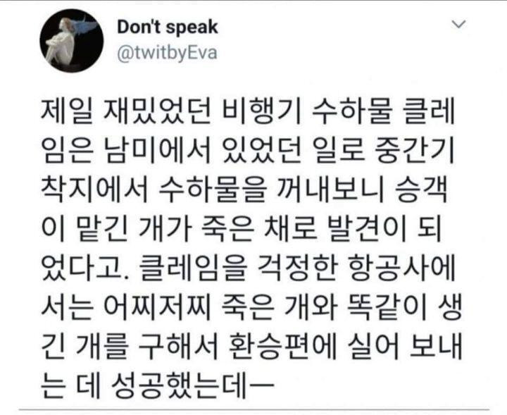 항공기 수화물 레전드