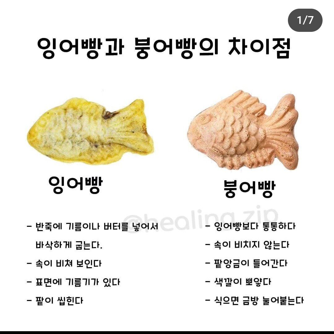 잉어빵과 붕어빵의 차이