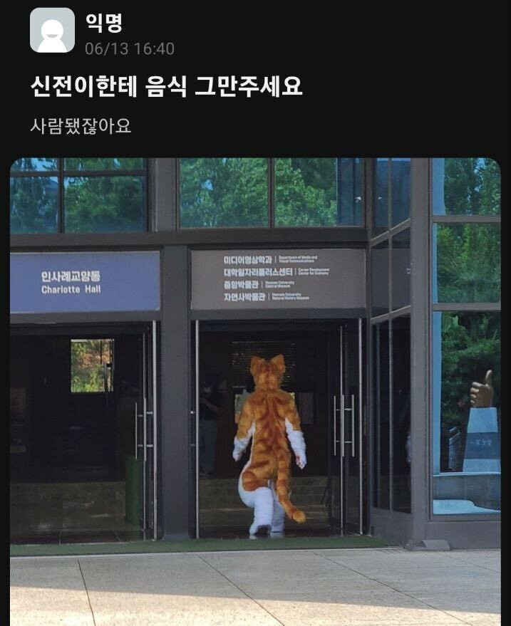 한남대 마스코트 고양이 근황