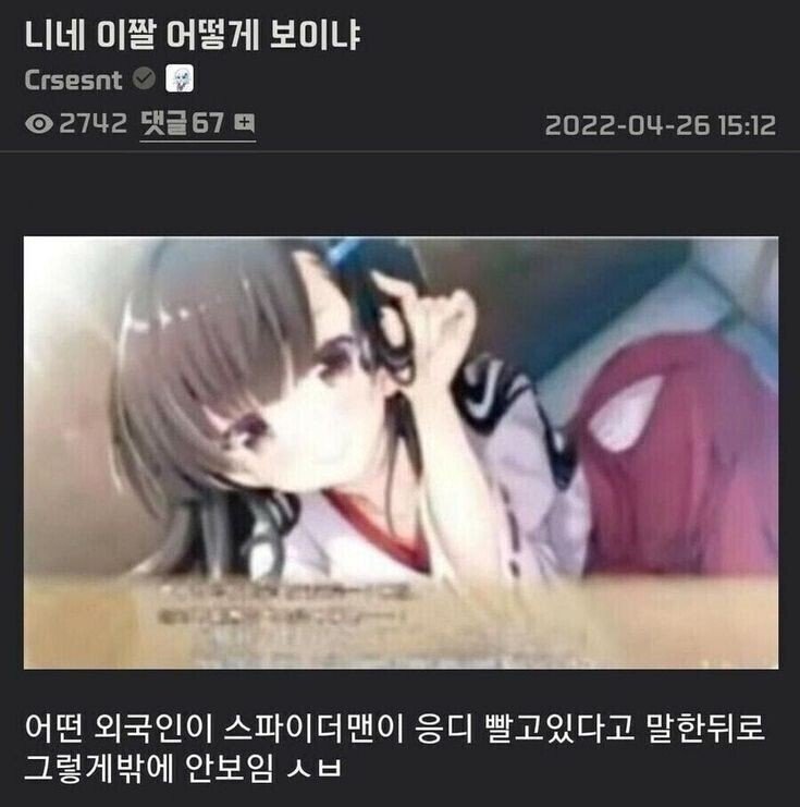 니네 이 짤 어떻게 보이냐