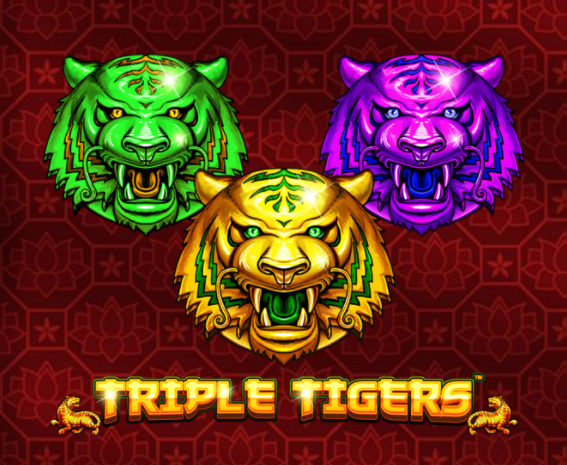 슬롯게임리뷰 트리플 타이거스 Triple Tigers