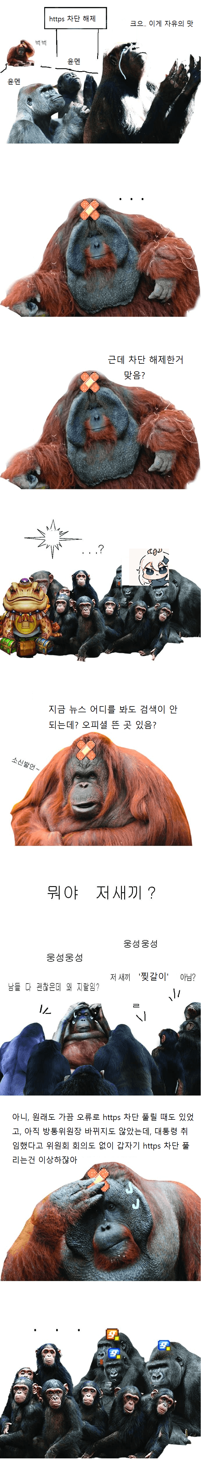 오늘자 https 검열 해제 해프닝 논란 간단 요약...jpg