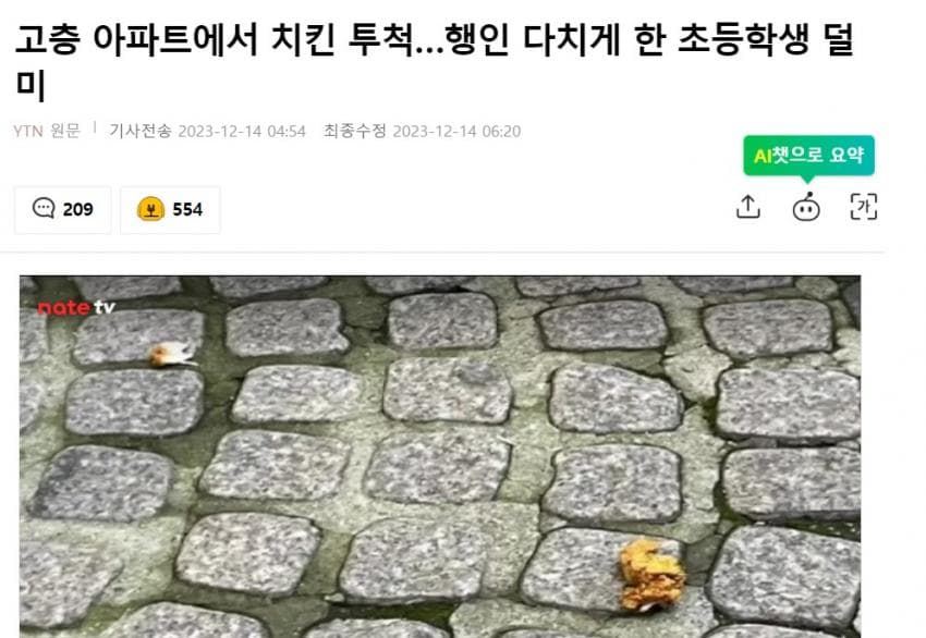 초등학생이 48층에서 치킨 던져 행인 부상