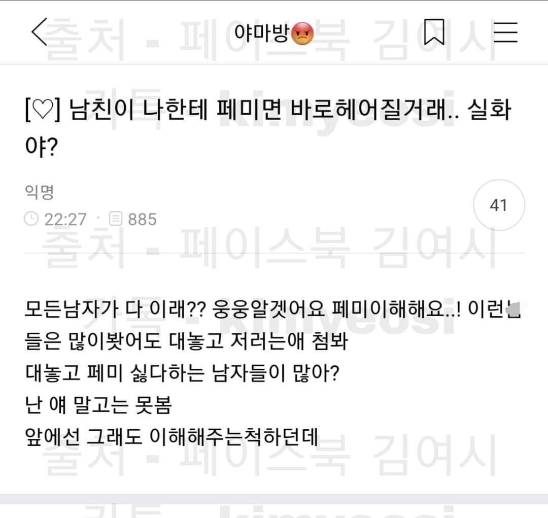 남친이 페미면 헤어질거라고 했다는 여시