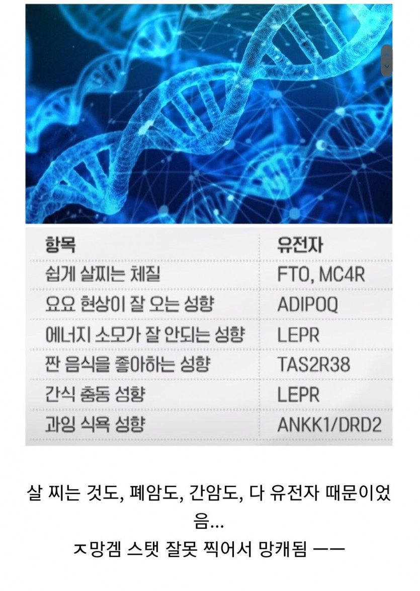 모든 건 유전자 때문