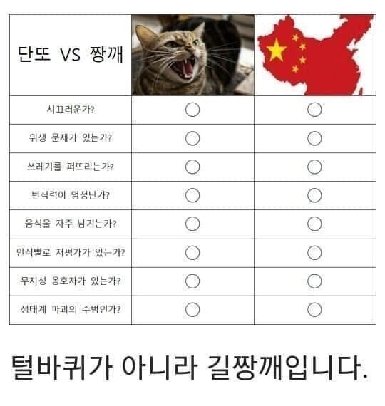 길고양이 = 털바퀴 명칭이 잘못된 이유...JPG