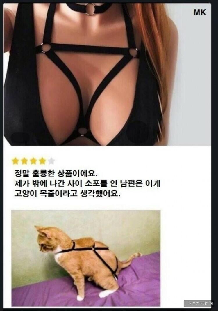 ㅇㅎ) 남편 몰래 야한 속옷 구매한 후기.jpg