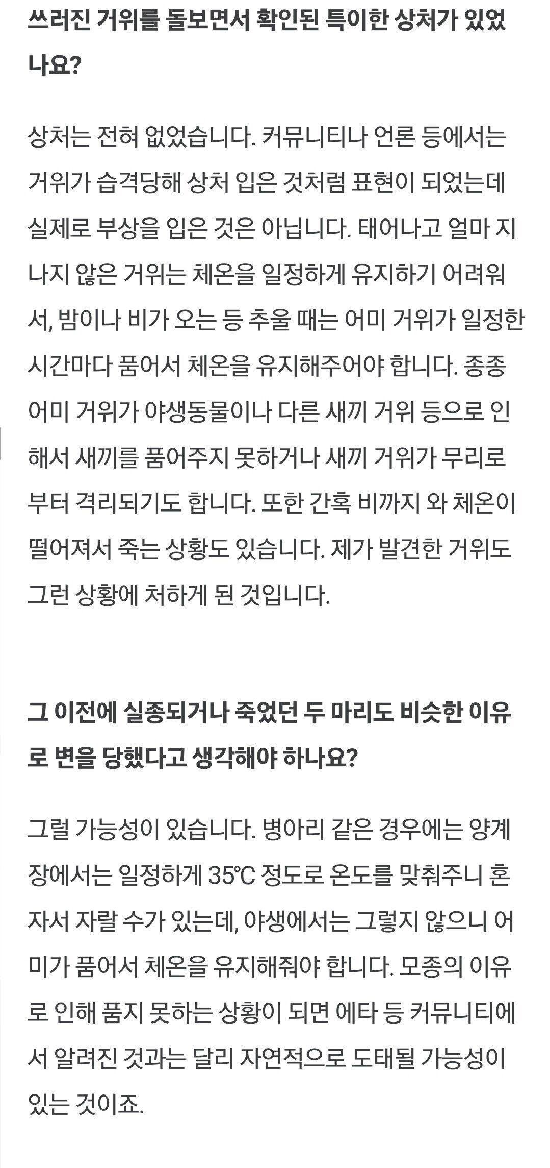 포텐 간 카이스트 거위들 털바퀴 습격 당한건 포도.jpg