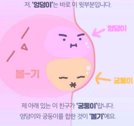 엉덩이와 궁둥이 차이