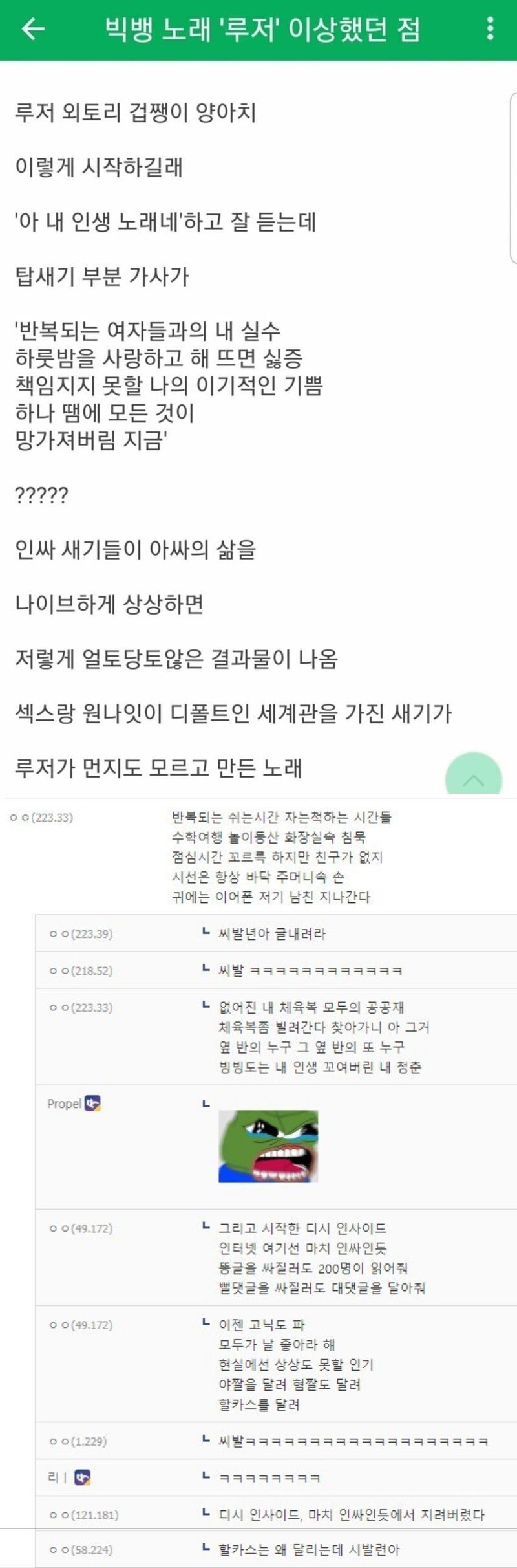 빅뱅 루저 듣고 분노한 디씨인들