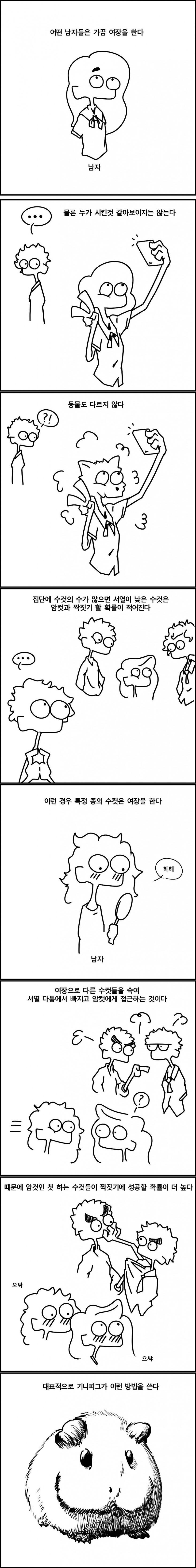 서열 낮은 수컷이 후손을 남기는 방법