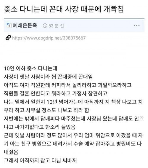 좆소 다니는데 꼰대 사장 때문에 개빡침