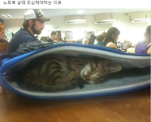커엽....