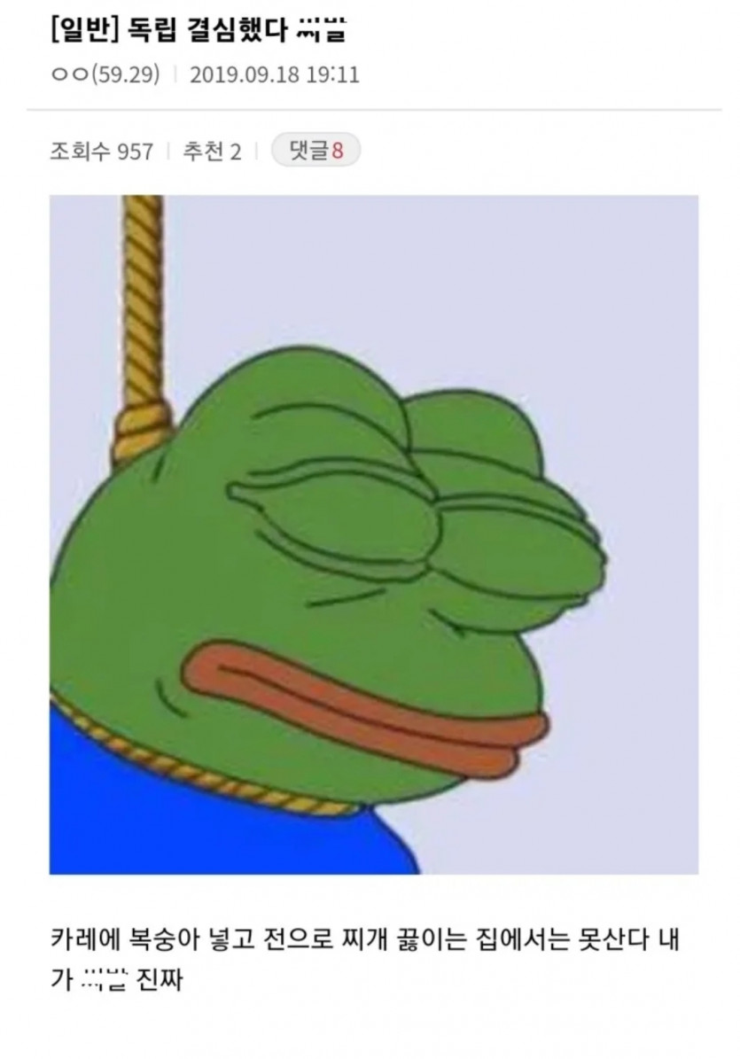 독립을 결심한 디시인
