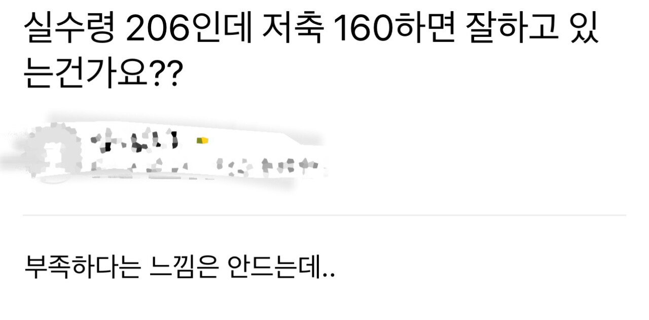 갑론을박 실수령 206만원 160 저축 가능 vs 불가능