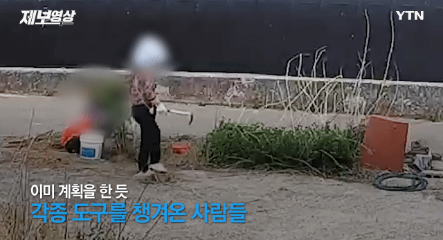 치밀한 시골 절도 클라스