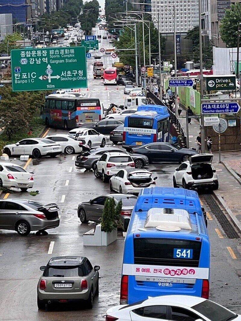 물빠진 서초모습..jpg