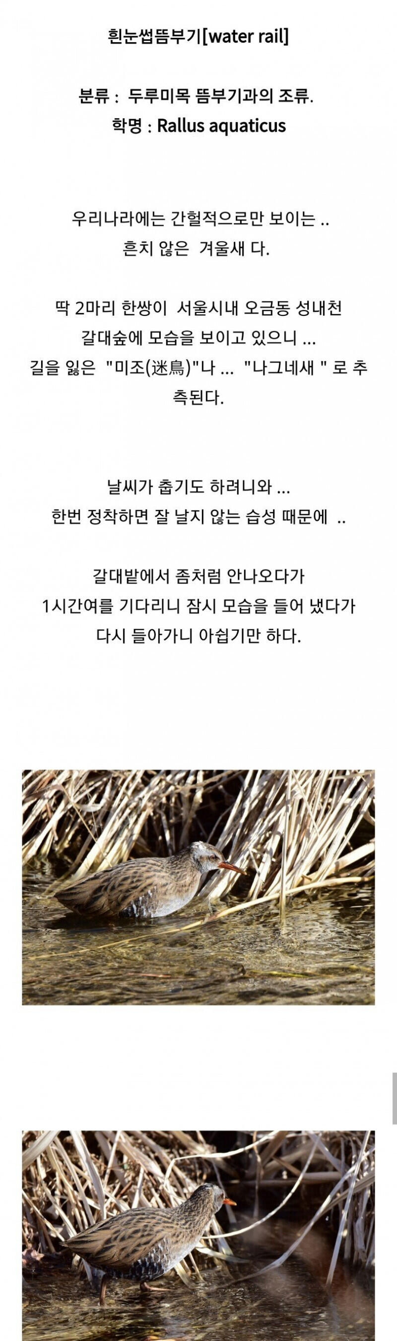 조류 동호회 회원들이 망연자실한 이유