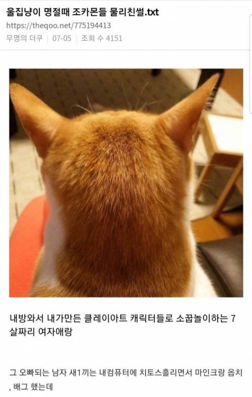 울집냥이 명절 때 조카몬들 물리친 썰.jpg