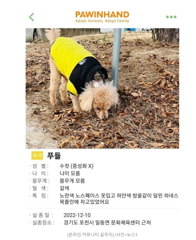 반려견 버리다가 들킨 견주 최신 근황...JPG