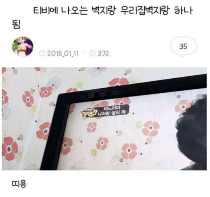 티비에 나오는 벽지랑 우리집벽지랑 하나됨