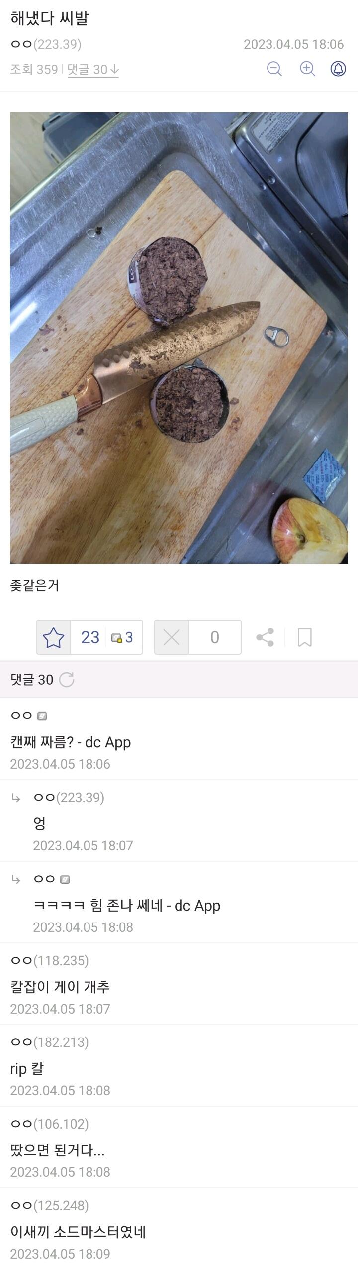 고양이 밥 주고 싶었던 디씨인