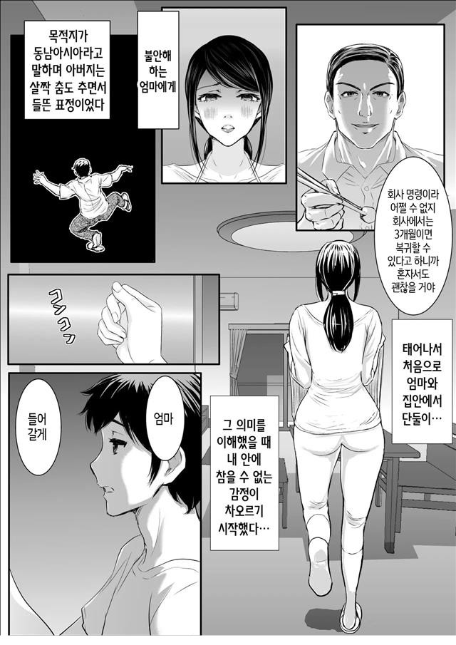 상냥한 엄마를 이용해 질내사정 강간탁란