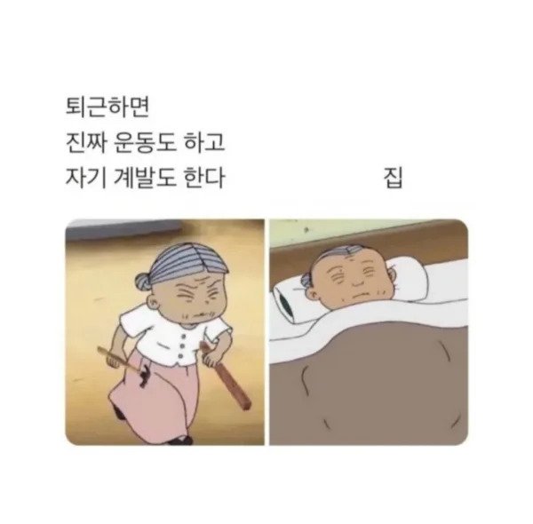 내생각과 현실..