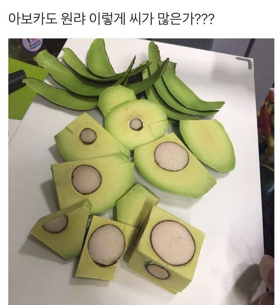 아보카도 처음 먹어 본 사람