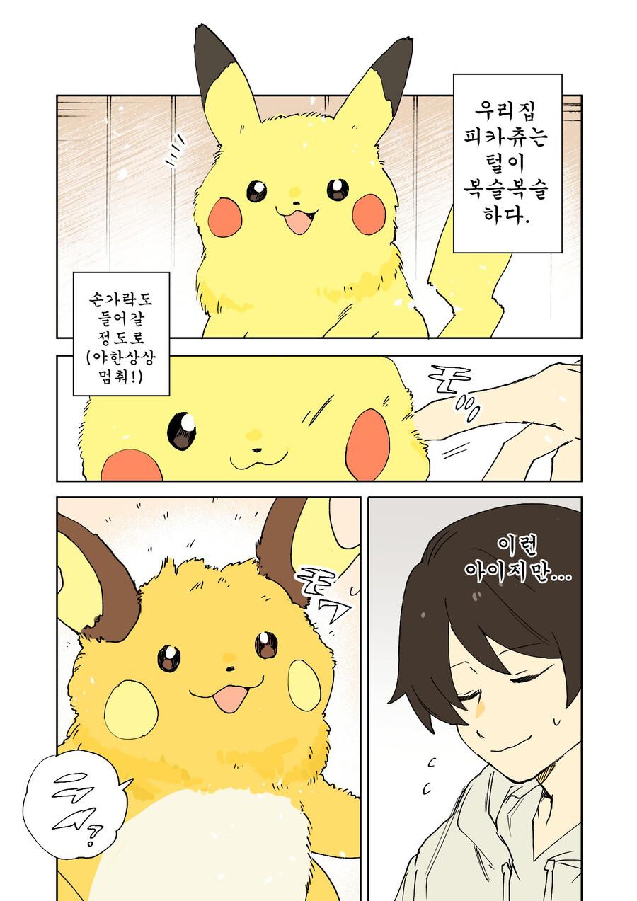 복슬복슬 피카츄 manhwa