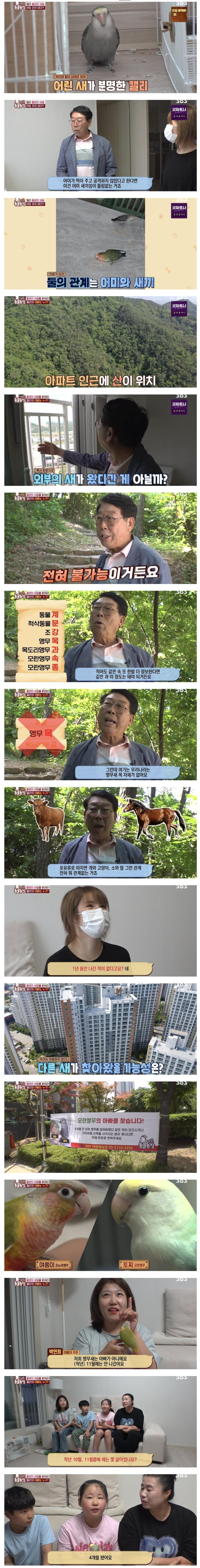 최근 학계에서도 놀란 세계 최초 케이스류