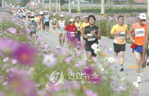 코스모스 핀 황금들녘 달린다…김제 지평선마라톤대회 10월 개최