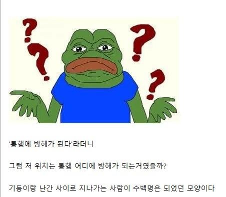 서울교통공사피셜 통행에 방해되어 치웠다던 독도모형에 대해 알아보자