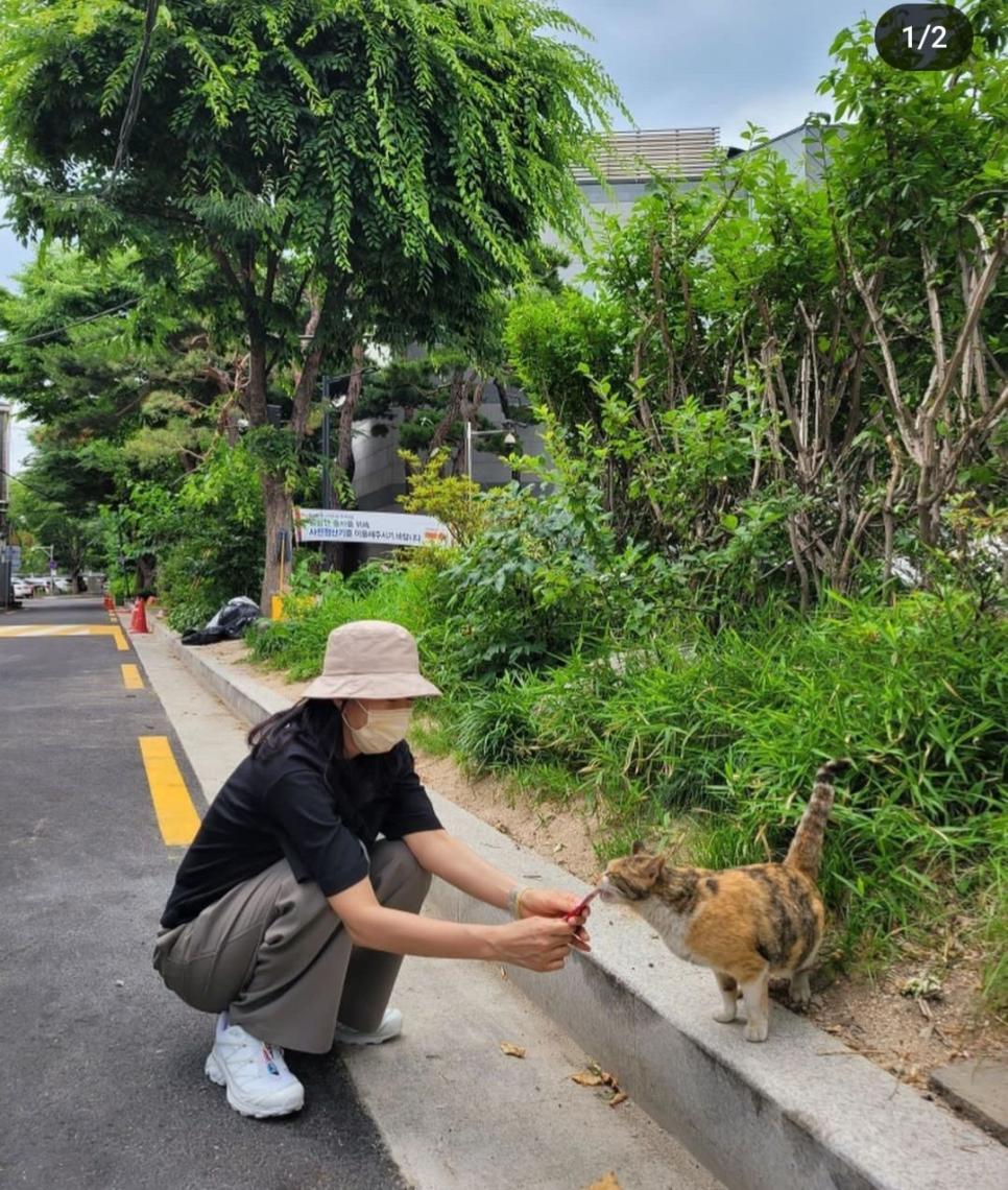 배우 수애 근황.jpg