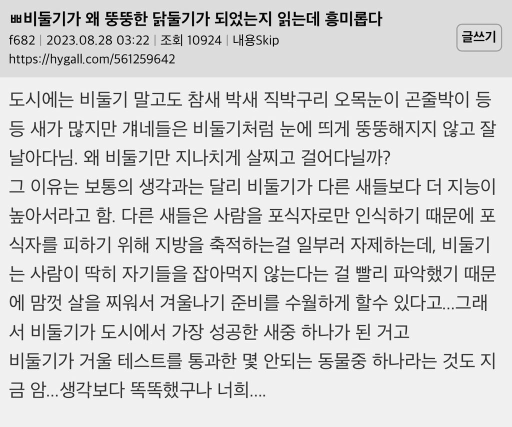 비둘기가 왜 살쪘는지를 읽는데 흥미롭다