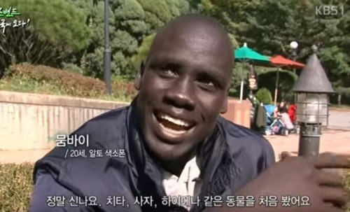 아프리카 사람이 한국에 와서 처음 본 것