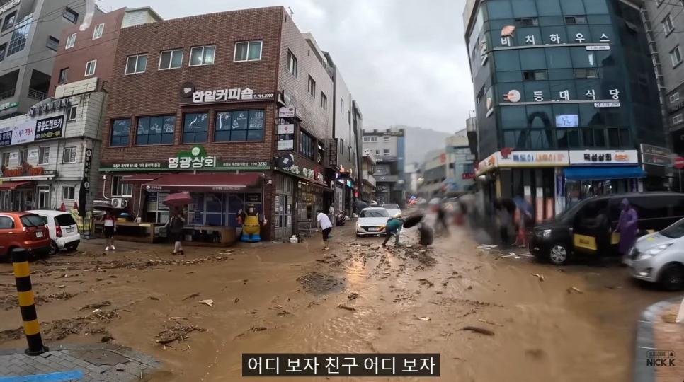 울릉도가서 신문에 났던 자전거 여행 유튜버